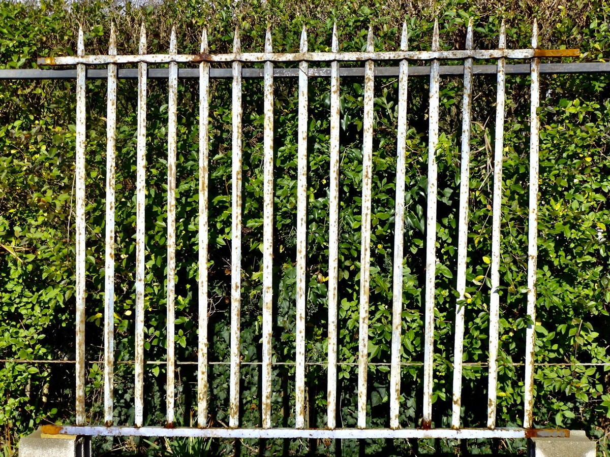 Grille de défense  - Fer forgé - Louis XIV - XVIIeS.