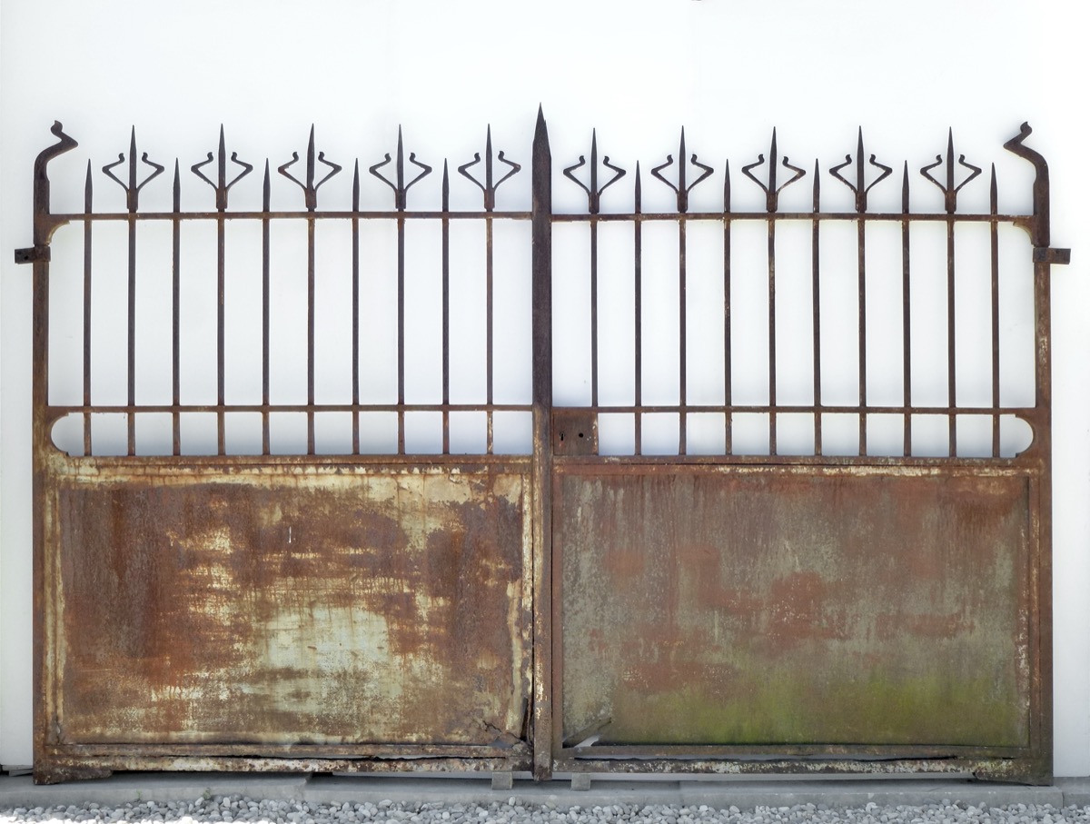 Portail en fer forgé Art Nouveau - XXe S. - Lg 306 H 196 cm